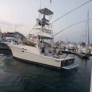 Private Tour 2hr